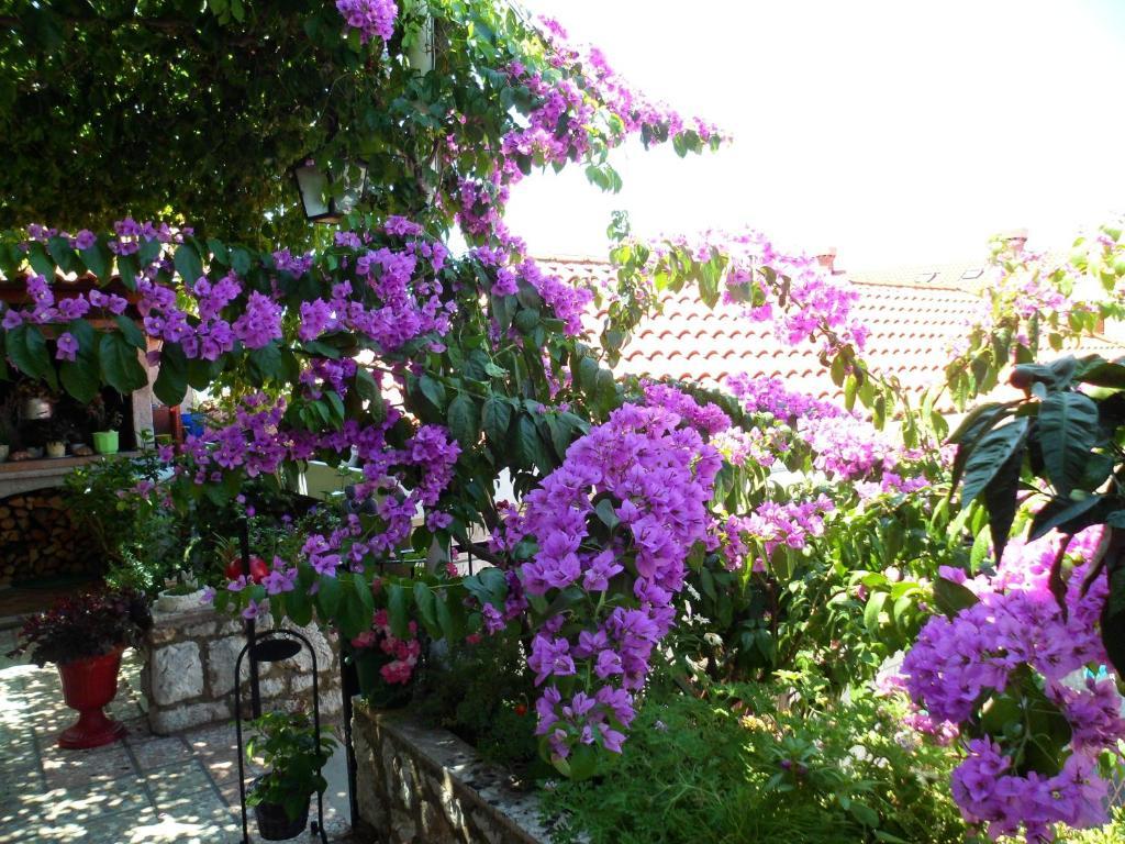 Guesthouse Ivona Dubrovnik Room photo